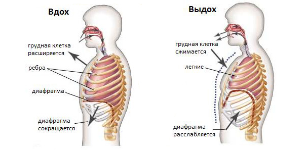 Упражнения для вокала